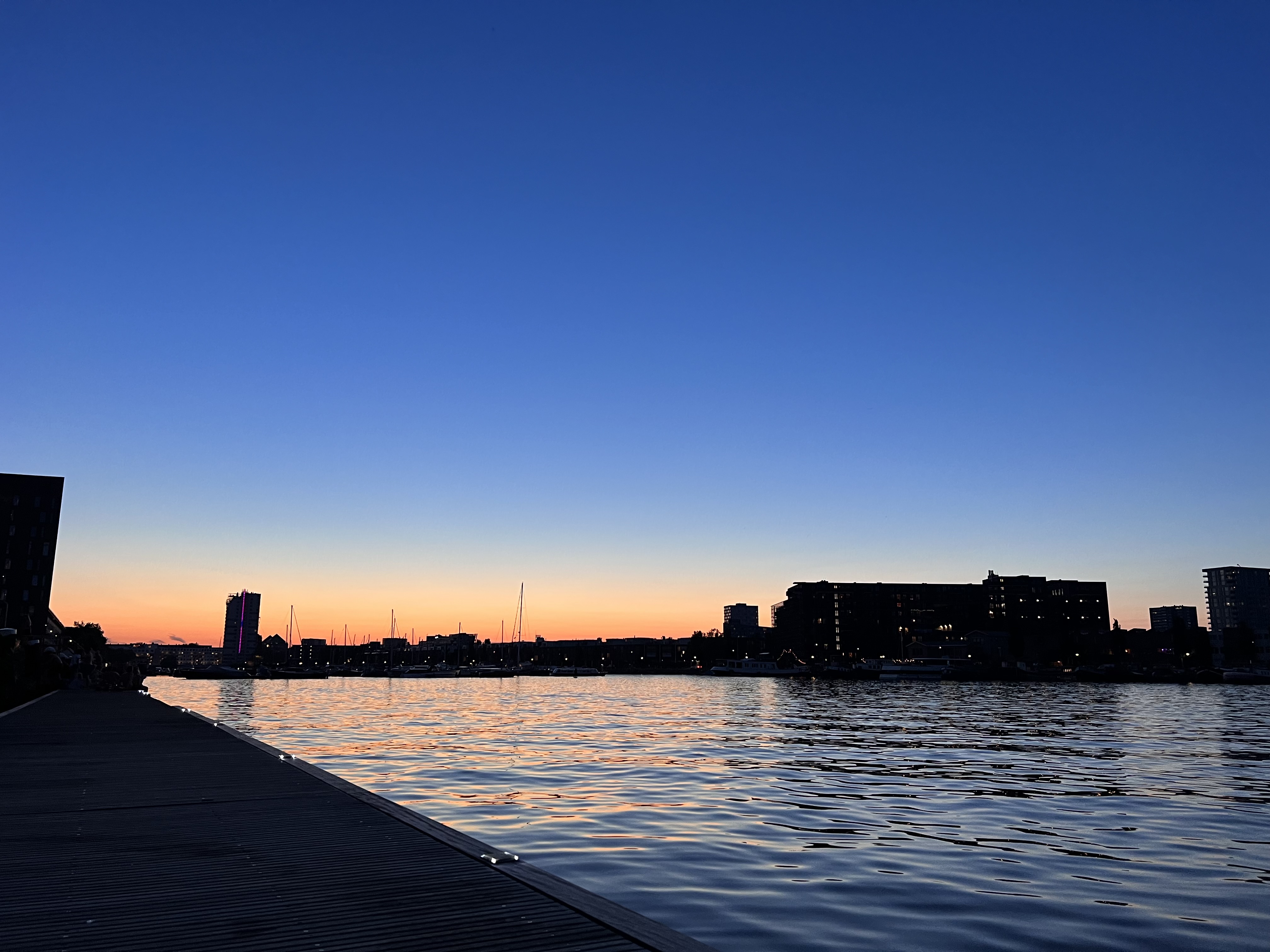 Dip Club members at an Amsterdam swimming spot